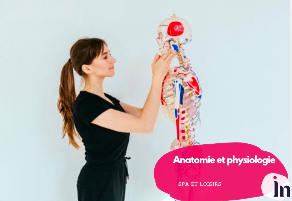 Anatomie et physiologie